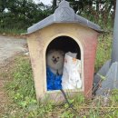 최종주동물병원 이미지