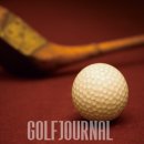 아너스골프클럽 이미지