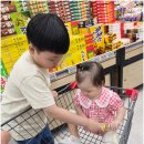 서부여농업협동조합 하나로마트 | 영월 마트 캠핑 여행 장보기 하나로마트 한반도농협본점 이용 후기
