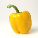 파프리카안경 이미지