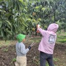 안양농장 이미지