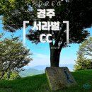 서라벌골프클럽 | 경주 서라벌CC 정상뷰를 보는 듯한 라운딩
