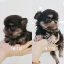 홈브리딩 이미지