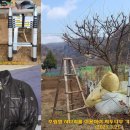 진식농장 네이버블로그