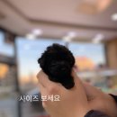 화순 토이샵 | 토이푸들 자매 소개해요^^