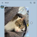 명덕동물병원 이미지