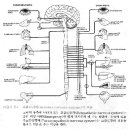 세포와 뇌의 신비 이미지