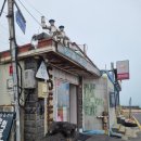 한수 소프트 | 제주 여행 후기 | 폭싹 먹었수다~ 2박 3일 제주도 여행 2일차 (휴애리, 곶자왈, 오설록, 산방산)