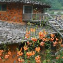 자연속의흙집 이미지