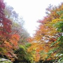 (주)천아