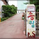 송림초등학교 이미지