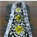 소랑의료재단 이미지