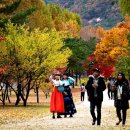 만추 - 여수시 | 만추