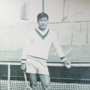 (주)하다생활건강 동아일보