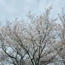 군산(무안)휴게소 편의점 | 서해안 고속도로* 군산휴게소(목포방향)솔직후기