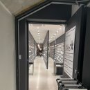 [쇼핑] 강남역, 신논현역 뉴뉴 강남점/뉴뉴하우스 방문 후기