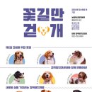 꽃길만 걷개 이미지