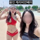 용인 이색데이트 캐리비안베이 6.5방문후기 주차 준비물 할인꿀팁