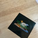 캣월드 | 제주도고양이카페, 서귀포 가볼만한 곳 캣월드