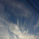 한전사거리 이미지