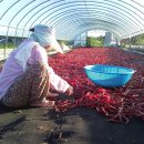 복합영농 이미지