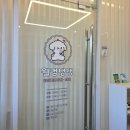 경기도 수원시 장안구 조원로50번길 | [수원/애견유치원] 수원 애견유치원 애견호텔, '웰컴댕댕 애견유치원'