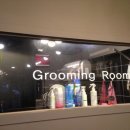 수그루밍 이미지