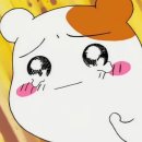 내추럴홍피트니스 이미지