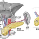 가비장