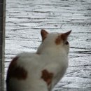 생활일본어 이미지