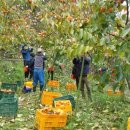 금정농장 이미지