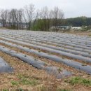 평리농장 이미지