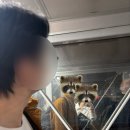 두근두근 체크인 | [신혼여행일지 01] 핀에어 좌석 지정, 온라인 체크인 후기 (인천-파리, 헬싱키 경유)