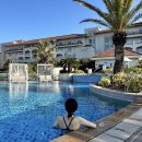 차돌체육관 | 제주 신라호텔 수영장 이용방법 선베드 예약 풀사이드바 전복한우차돌짬뽕 후기