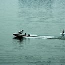 강가에아침 이미지