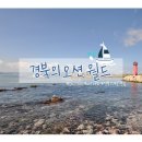 나드리 Daum카페