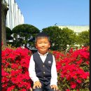 신성유치원 이미지