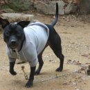 알프하우스 이미지