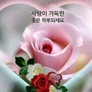 감사해요 힘내요 우리 / 인사말 이미지 이미지