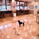 모찌네호캉스 이미지