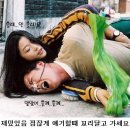 수니아 이미지