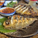 독도참가자미 이미지