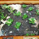 대방경로당 이미지