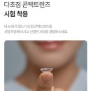 금송안경콘택트 네이버블로그
