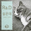 라디 이미지
