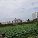 정아약국 이미지