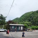 도원산장 | 260717- 캠핑인듯 캠핑 아닌 캠핑 같은 주말 <돌고래 캠핑장>
