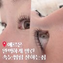 온의로 L | 목포 속눈썹펌 잘하는 곳 에르온｜바짝 컬링 유지력 솔직 후기