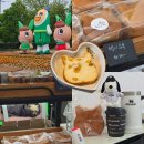 빵굽는고양이 | 담양 대나무 축제에서 만난 유기농 고양이식빵, 내돈내산 먹거리ft. 식빵굽는고양이