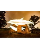 제주의별밤 이미지